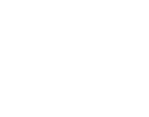 logo fidelis patrimoine, gestion de biens immobiliers