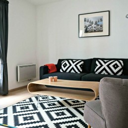 salon d'un appartement au centre-ville de Lille (Nord), investissement locatif réalisé pour des clients expatrié à New York